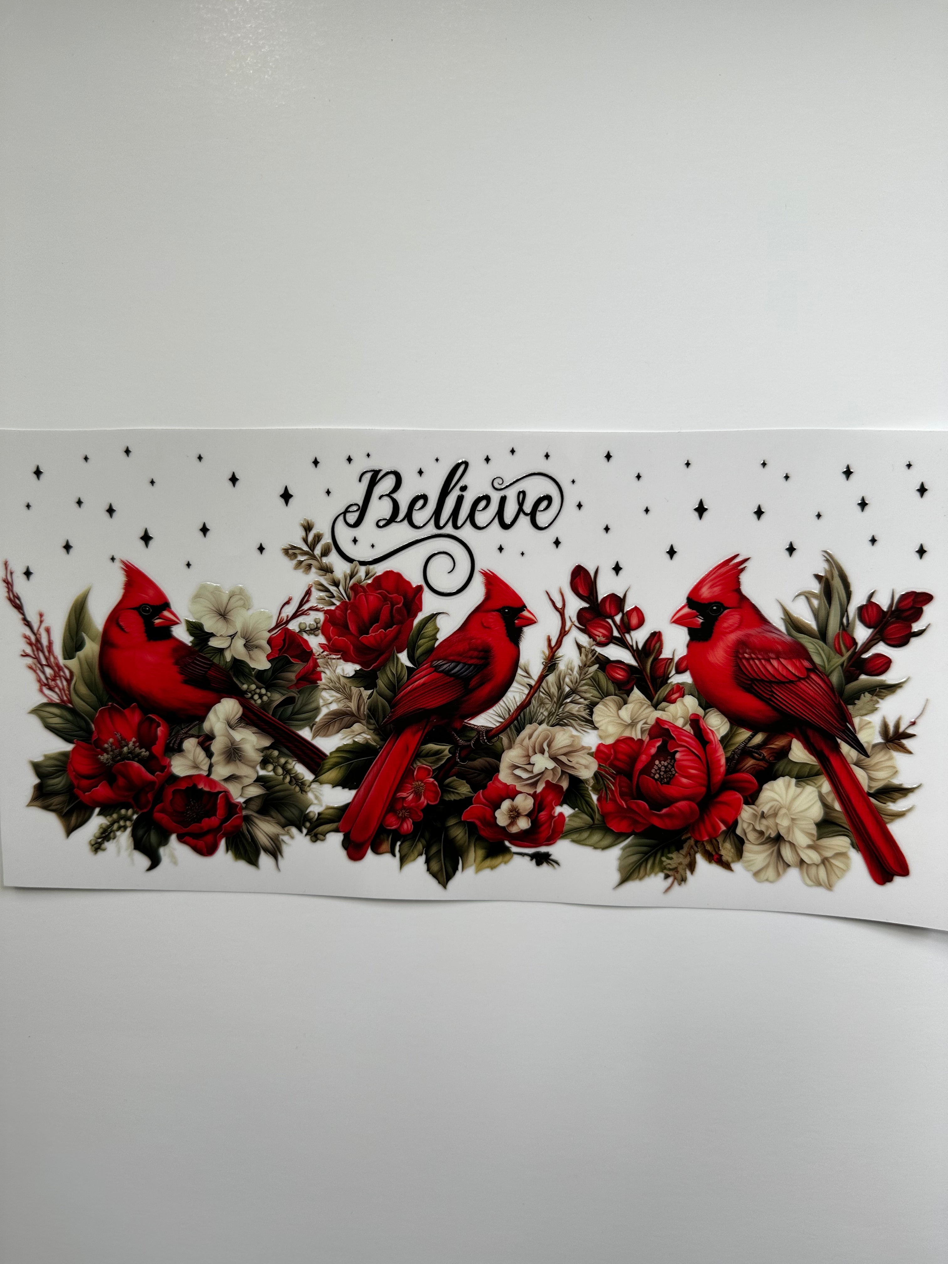 Cardinals Believe
